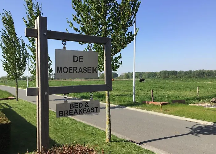 De Moeraseik