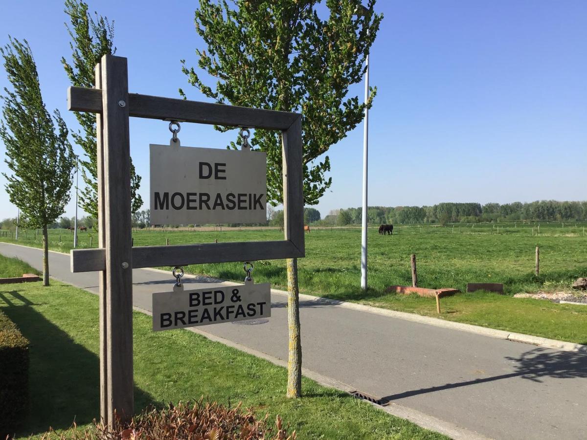 De Moeraseik
